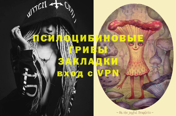 молекула духа Белоозёрский