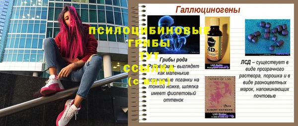 jwh Арсеньев