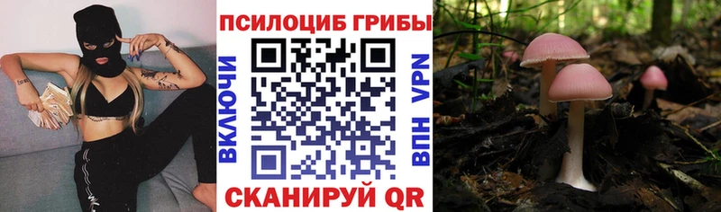 Купить закладки  Сковородино  Галлюциногенные грибы прущие грибы 